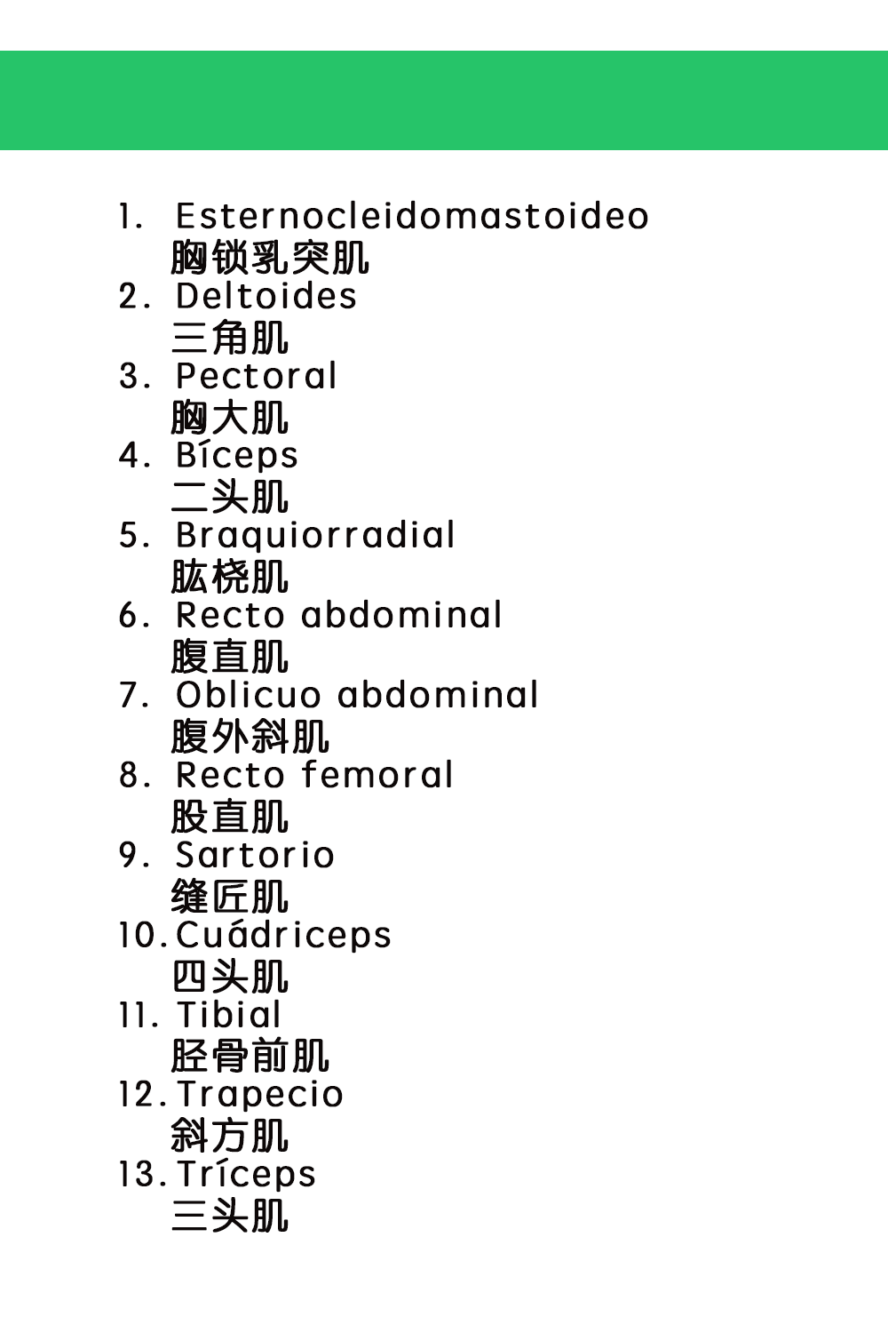 西班牙语 I 人体各部分肌肉词汇(图2)